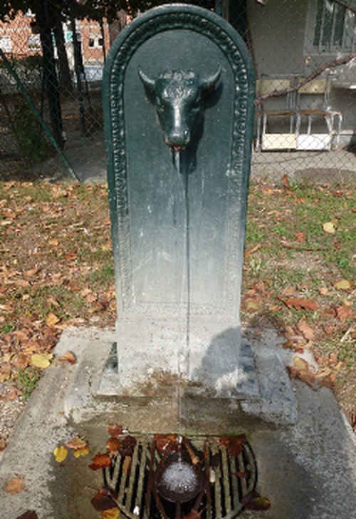 Via Domenico Coggiola, 18-20