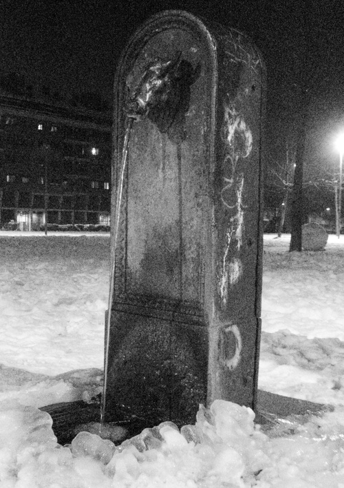 Giardino Francesca Laura Morvillo