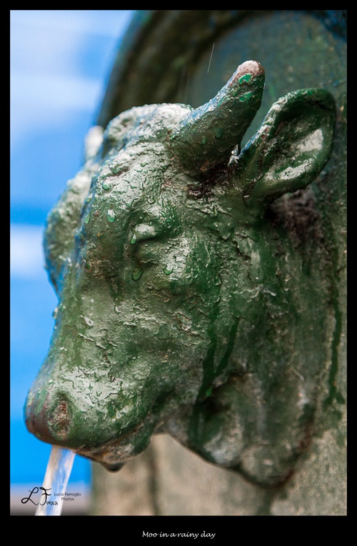 Corso Racconigi, 17-23