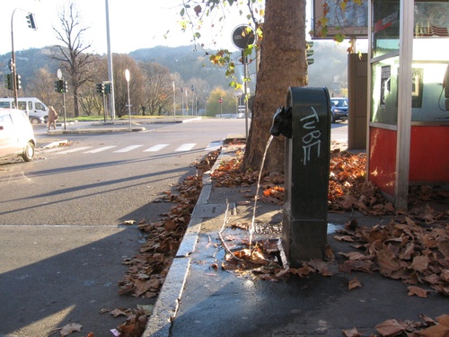 Corso F Lazzari Detto Bramante