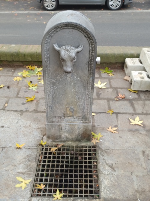 Via Cavour, 8 - Cambiano