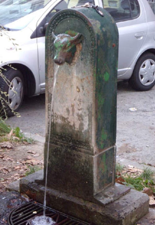 Corso Brunelleschi 46