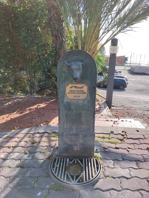 Via G. Matteotti, Ospedaletti