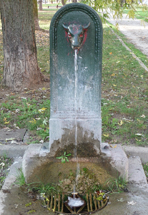 Corso Gaetano Slvemini