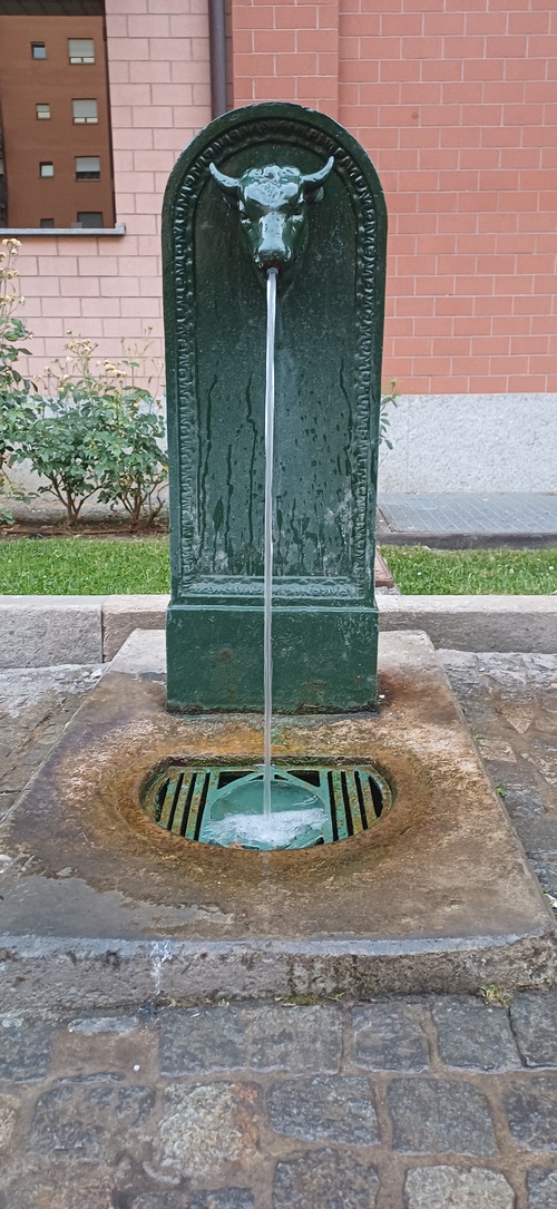 Viale pedonale tra Corso Enrico Gamba e Corso Ottone Rosai Est