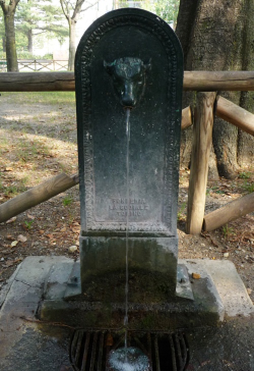 Via Giovanni Roveda, 29