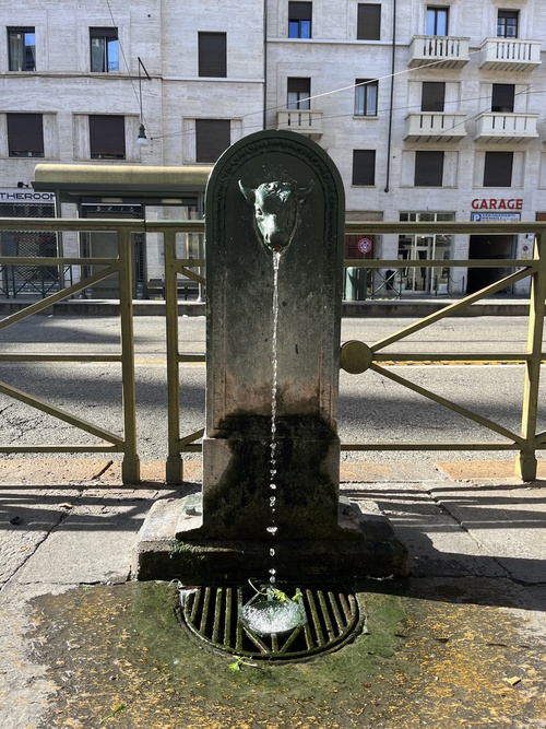 Via Giuseppe Bertola